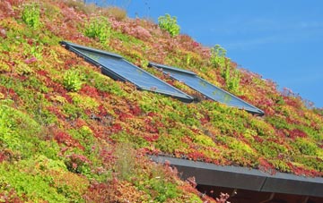 Hud Hey living roof systems